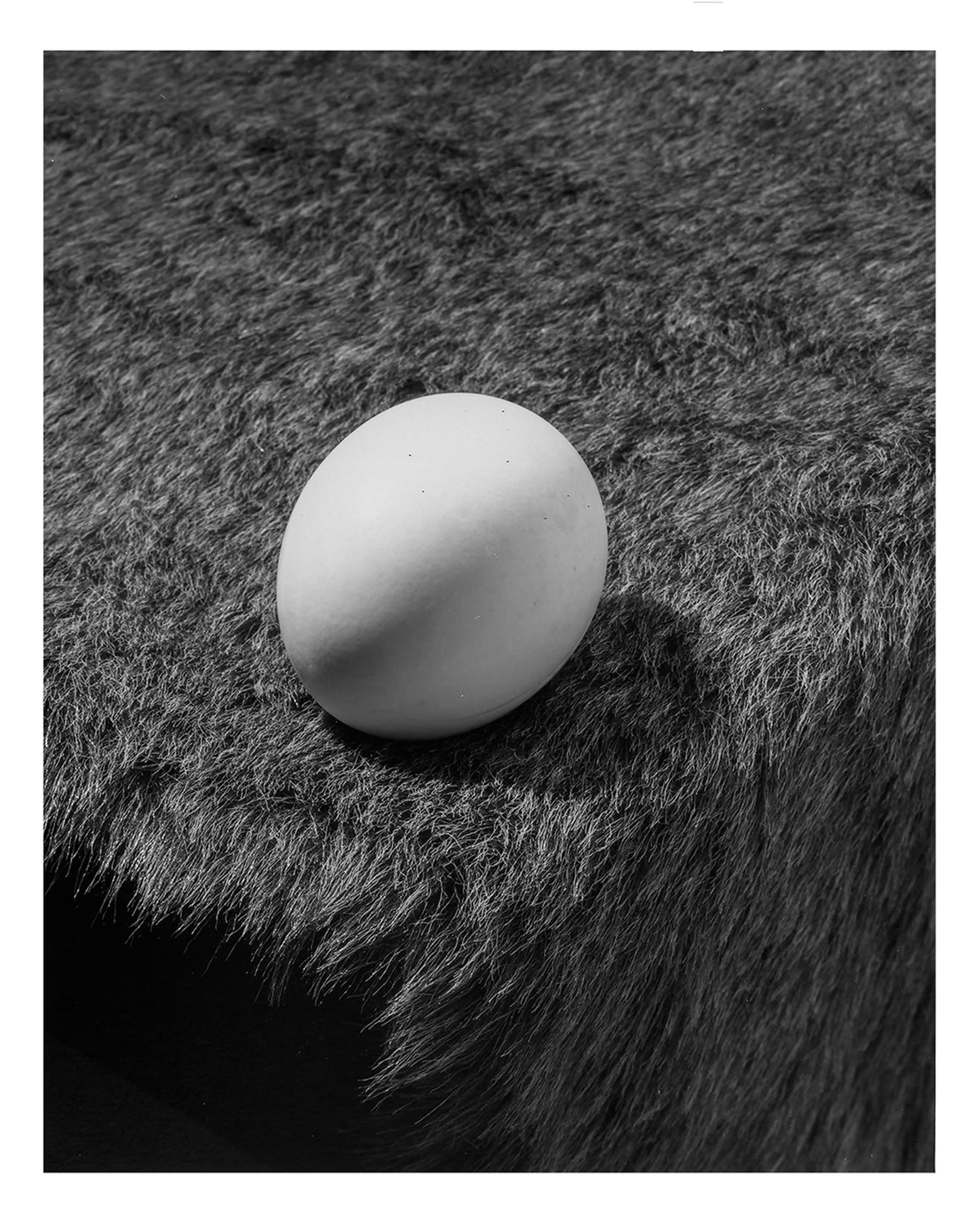 Jo Ann Callis: Dish Trick