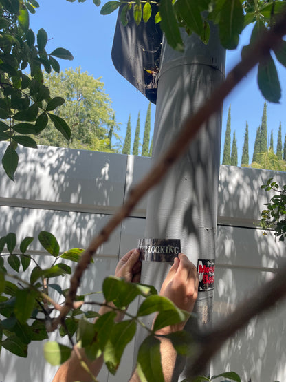 KEEP LOOKING Bumper Sticker