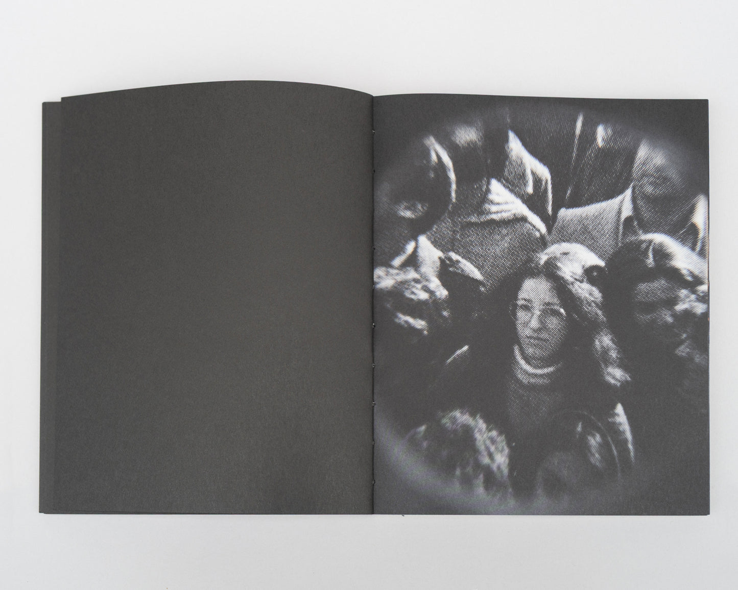 Eyes Dazzle as They Search for the Truth by Amin Yousefi